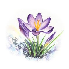 Pinterest - Download Watercolor - Spring Flowers Stock Illustration - Illustration of lilac, artistic: 26942315 | crafts for dementia