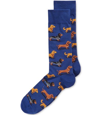 dachshund socks