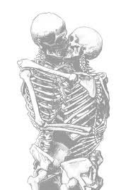 gay skeletons - Google Search