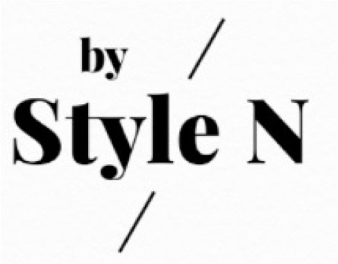 style n logo