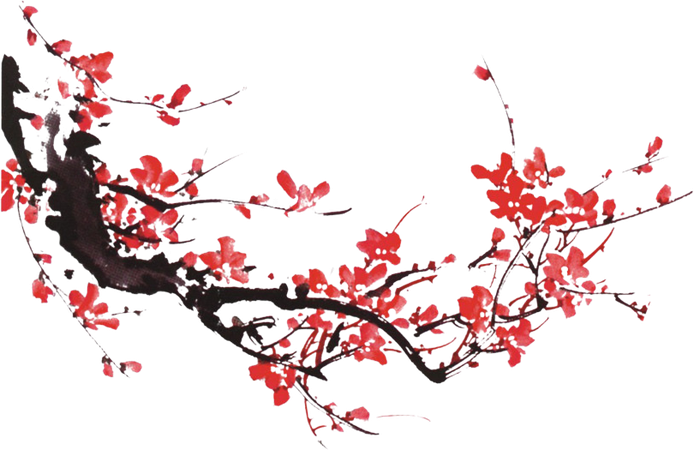 red cherry blossom