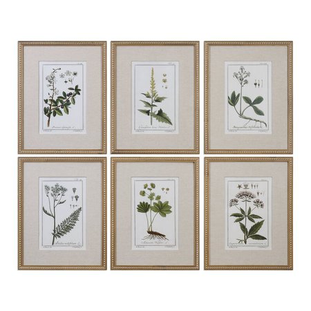 Three Posts Floral Botanical Study by Grace Feyock - 6 Piece Picture Frame Graphic Art Print Set on Paper & Reviews | Wayfair.ca