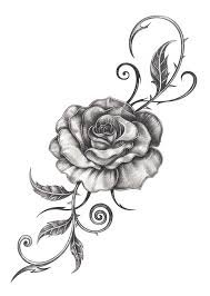 rose tattoo - Google Search
