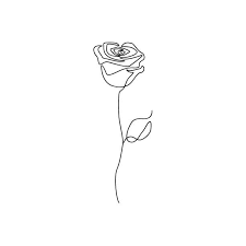 rose line drawing png - Google Search