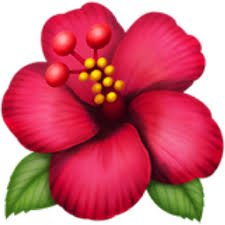 flower emoji - Google Search