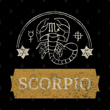 scorpio zodiac sign test - A Zodiac Sign Test - Pin | TeePublic