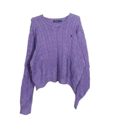 purple ralph lauren polo sweater