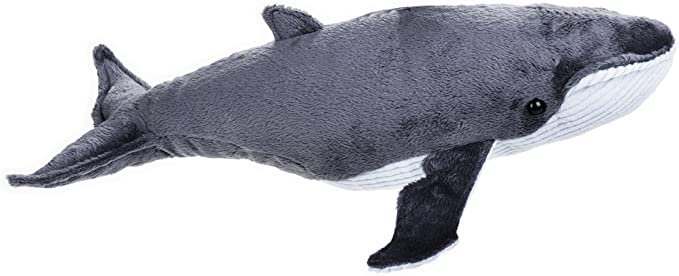 Amazon.com: NATIONAL GEOGRAPHIC Baleen Whale Plush - Medium Size: Toys & Games