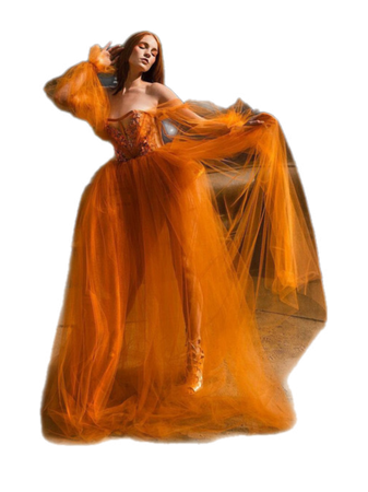 Orange sheer tulle dress formal gowns
