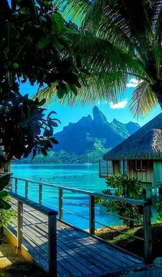 290 Best Tropical paradise ideas | tropical paradise, tropical, beautiful beaches