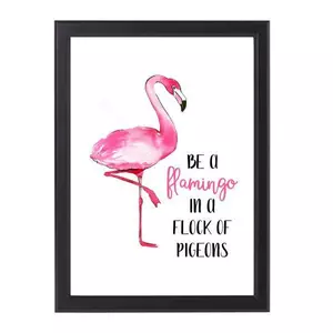 be a flamingo