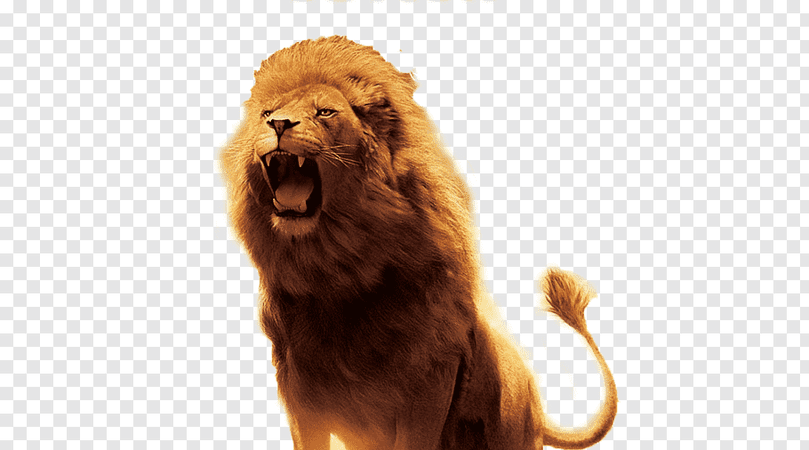 The Lion, the Witch and the Wardrobe Aslan Desktop, Leon PNG | PNGWave