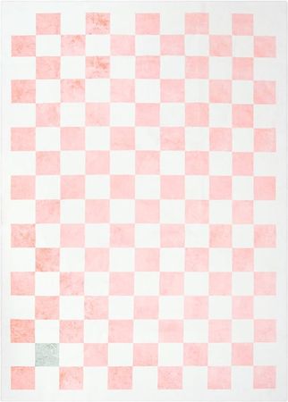 Amazon.com: Wonnitar Checkered Pink Area Rug,Washable 5x7 Bedroom Rugs,Non-Slip Rug for Kids Nursery Room,Large Soft Low Pile Checkboard Throw Carpet for Playroom Baby Room Living Room : Home & Kitchen