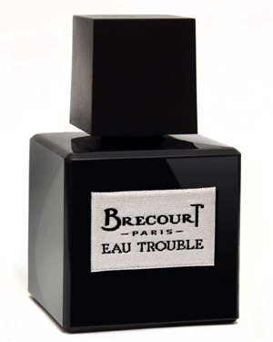 Brecourt Eau Trouble perfume at indiescents.com