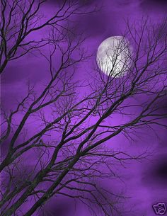 moon purple