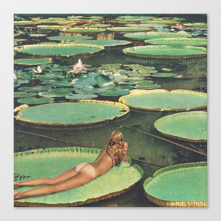 lily-pond-lane-canvas.jpg (700×700)