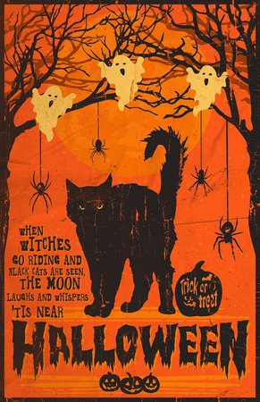 black cat halloween pinterest - Google Search
