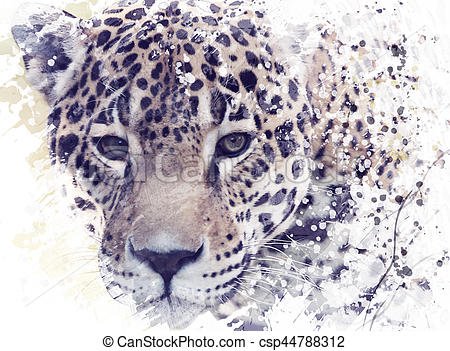 Leopard portrait watercolor. Digital painting of leopard... stock photography - Search Pictures and Photo Clip Art - csp44788312