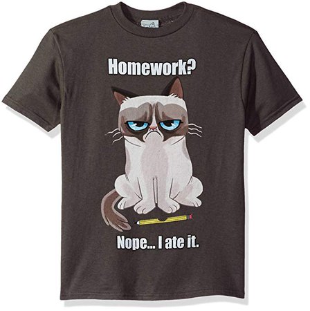 Amazon.com: Grumpy Cat Boys' Little Homework Graphic T-Shirt, Charcoal, YM: Clothing