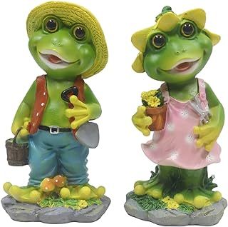 Amazon.com: Frog