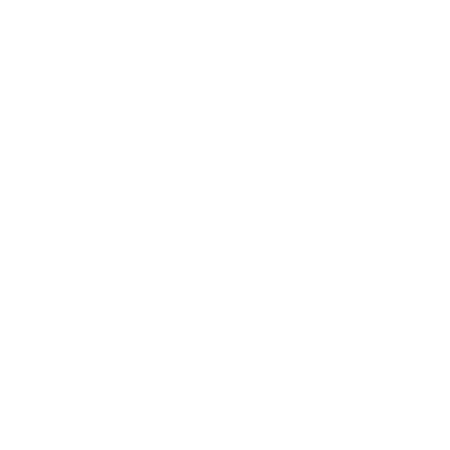 Noil Logo