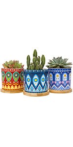Amazon.com : Mkono 3 Inch Mini Cement Succulent Planter Modern Concrete Cactus Plant Pots Small Clay Indoor Herb Window Box Container for Home and Office Decor, Set of 4 (Plant NOT Included) : Garden & Outdoor