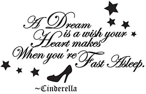 Amazon.com: Wall Decal Art Sticker Quote Vinyl Lettering Letter Design Cinderella Saying: Home & Kitchen