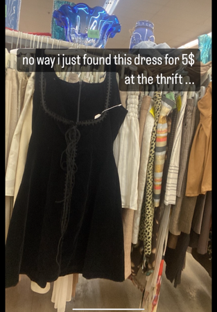 velvet thrift dress