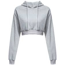 grey crop tip sweatshirt