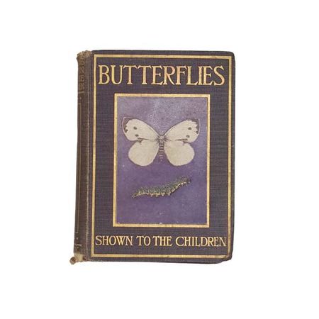Harvey Kelman | Butterflies - Shown To The Children
