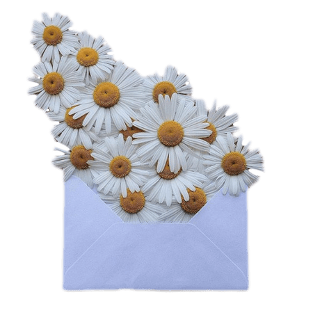 flower envelope