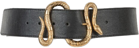 gold and brown black snake buckle belt