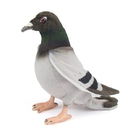 pigeon toy - Google Search