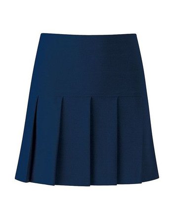 navy pleated skirt