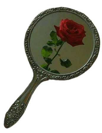 rose reflection mirror
