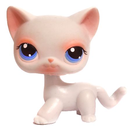 lps 64 - Google Search
