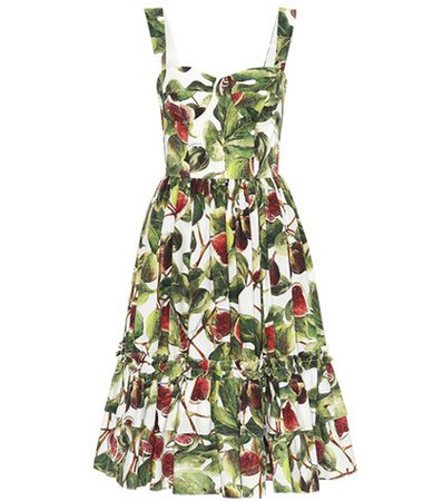 Fig cotton poplin dress