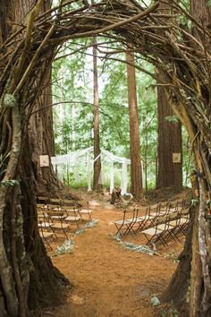 Forest Woodland wedding