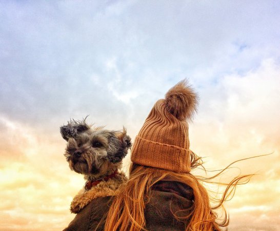 Free stock photo of A rear view of fashionable young girl wearing a woolly bobble hat and holding her scruffy pet dog on her shoulder on a windy day in autumn or fall - Reshot