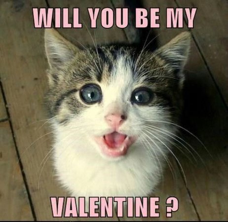 cute valentine's day memes - Bing images