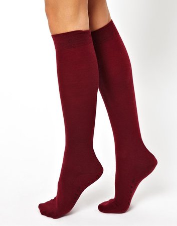 womens burgundy knee high socks - Google Search