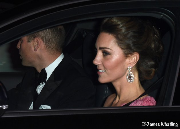 Kate is Image of Elegance for Buckingham Palace Birthday Gala - What Kate Wore