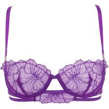 lingerie purple bra - Google Search