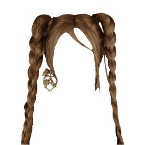 brown hair braid pigtails bangs
