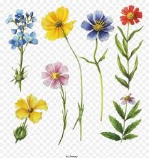 aesthetic wildflowers png - Google Search