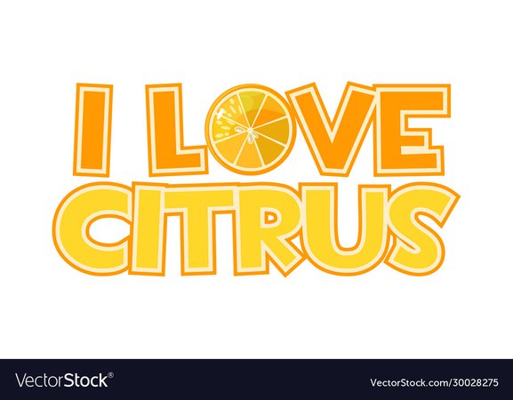 Bright inscription i love citrus and orange slice Vector Image