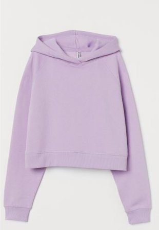 h&m purple cropped hoodie