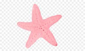pink starfish png - Google Search