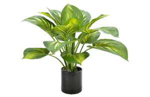 20" Hosta Plant in Planter, Faux | Decorist