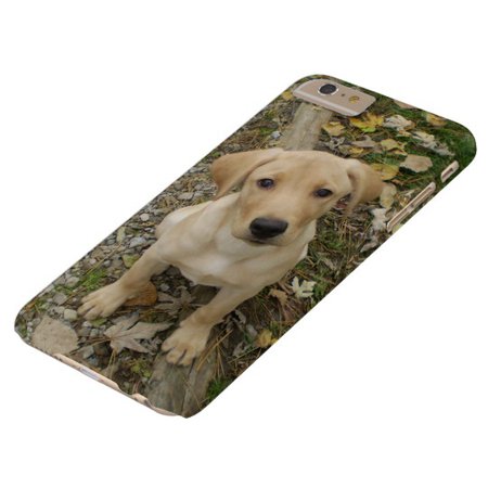 Golden Labrador Puppy Case-Mate iPhone Case | Zazzle.com